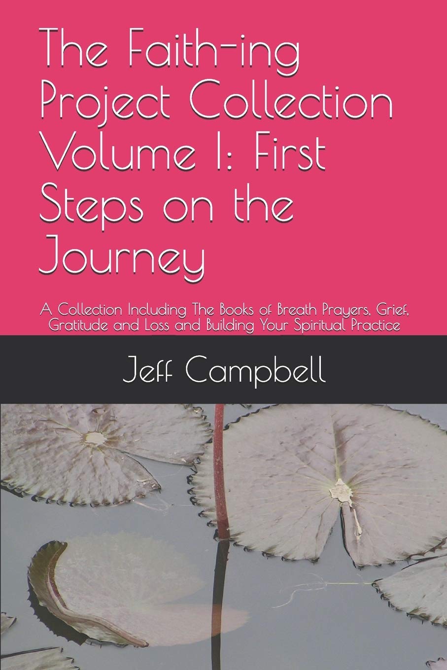 The Faith-ing Project Collection Volume I: First Steps on the Journey: A Collection Including The Books of Breath Prayers, Grief, Gratitude and Loss and Building Your Spiritual Practice Self-help