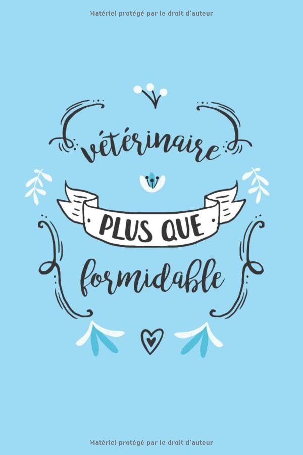 Vétérinaire Plus Que Formidable: Carnet de Notes, Bullet Journal 120 pages book