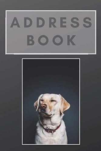 Address Book: A Personal Organizer for Addresses, Alphabetical Tab, Phone/Mobile Numbers, Email Address, Birthday and more, Large Print Hobbies & Crafts