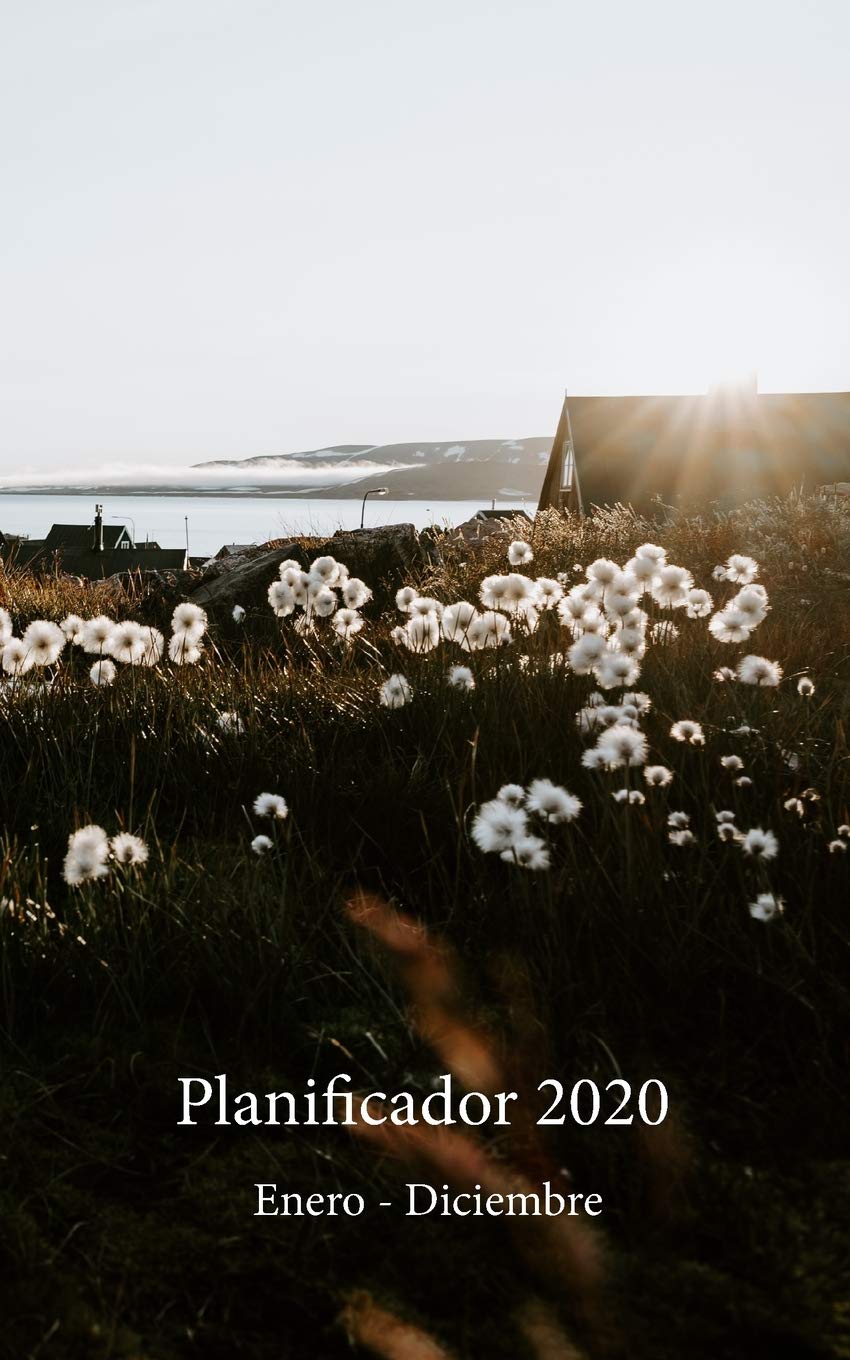 Planificador 2020 Enero - Diciembre: Un Planificador Mensual y Semanal Desde el 1 de enero hasta el 31 de diciembre de 2020, cubre los Calendarios ... de 53 (Cubierta de la Isla Sunrise, Band 1) Business, Finance & Career