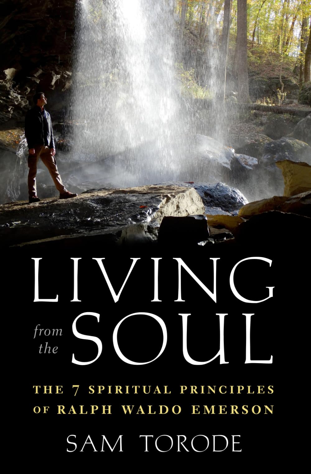 Living from the Soul: The 7 Spiritual Principles of Ralph Waldo Emerson book