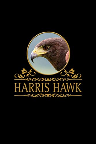 Harris Hawk: Wüstenbussard, Harris Hawk, Parabuteo Unicinctus. Format A5, 120 Seiten, dezent grau liniert. Notizbuch, Journal, Merkheft, ... Ornithologen, Naturkundler, Vogelschützer Mathematics