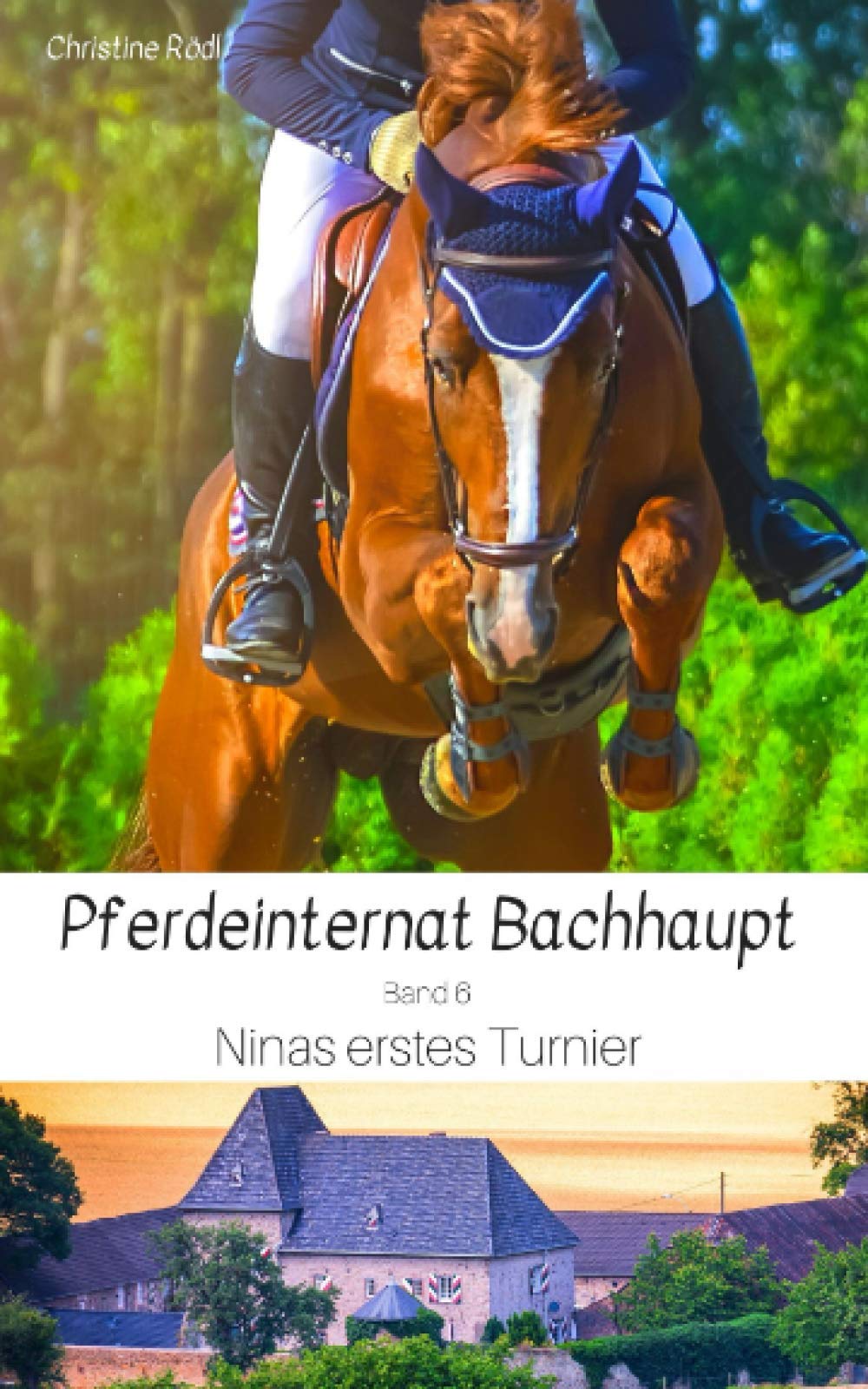 Ninas erstes Turnier (Pferdeinternat Bachhaupt, Band 6) Pets