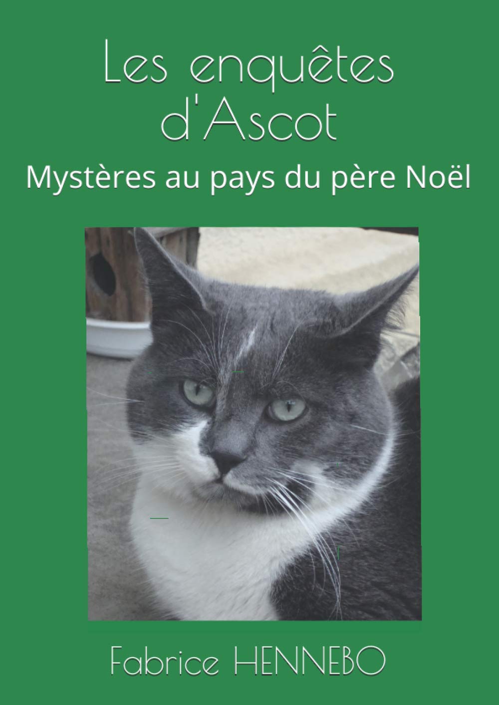 Les enquêtes d'Ascot: Mystères au pays du père Noël Detective & CSI