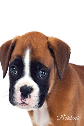 dog Notebook: cute dog Notebook / Journal perfect gift for dog lovers (lined journal) great for writing notes make a great gift for your kids boys or girls Essays & Short Stories