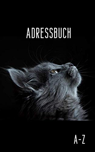 Adressbuch: Telefon und Adressbuch klein mit Platz Für Name, Adresse, Geburtstag, Telefon, Mobil, Fax, E-mail - 110 Seiten alphabetisch geordnet Books