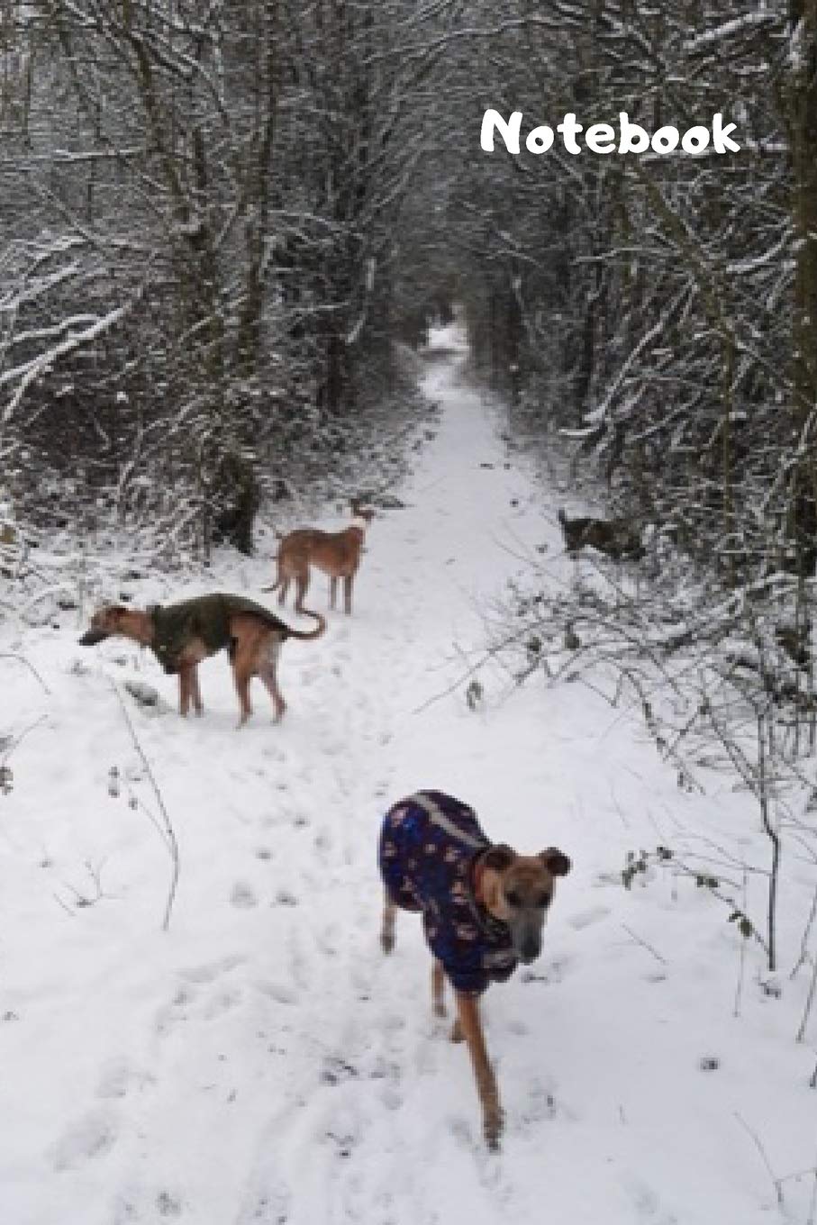 Notebook: 100 page lined paper pages note book with winter dogs scene Essays & Short Stories