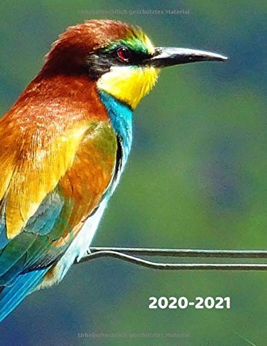 Wochenplaner 2020-2021: Vögel Tier-Liebhaber Motive | Vogelkunde Nesthocker Nestflüchter Platzhocker | A4+ Softcover 122 beschreibbare Seiten Wochenkalender Terminplaner | 22 x 28 cm (8,5x11 Zoll) Essays & Short Stories