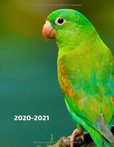 Wochenplaner 2020-2021: Vögel Tier-Liebhaber Motive | Vogelkunde Nesthocker Nestflüchter Platzhocker | A4+ Softcover 122 beschreibbare Seiten Wochenkalender Terminplaner | 22 x 28 cm (8,5x11 Zoll) Essays & Short Stories