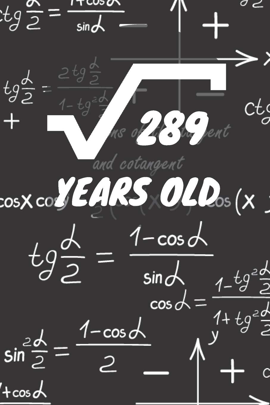 289 Years Old: 17. Birthday Ruled Math Diary Notebook or Mathematics and Physics Guest Nerd Geek Book Journal - Lined Register Pocketbook for Nerds, ... book for Boys and Girls Birthdays and Partys Books