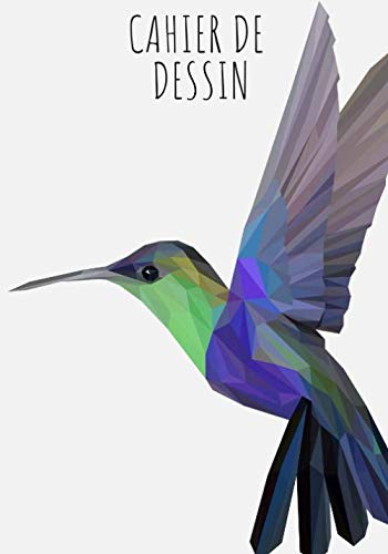 Cahier de dessin: Cahier Colibri Oiseau, Carnet de croquis grand format pour dessin, peinture, aquarelle, création: 100 pages à remplir. Cahier de ... blanc idéal crayon de couleur, feutres. Film, Art & Culture