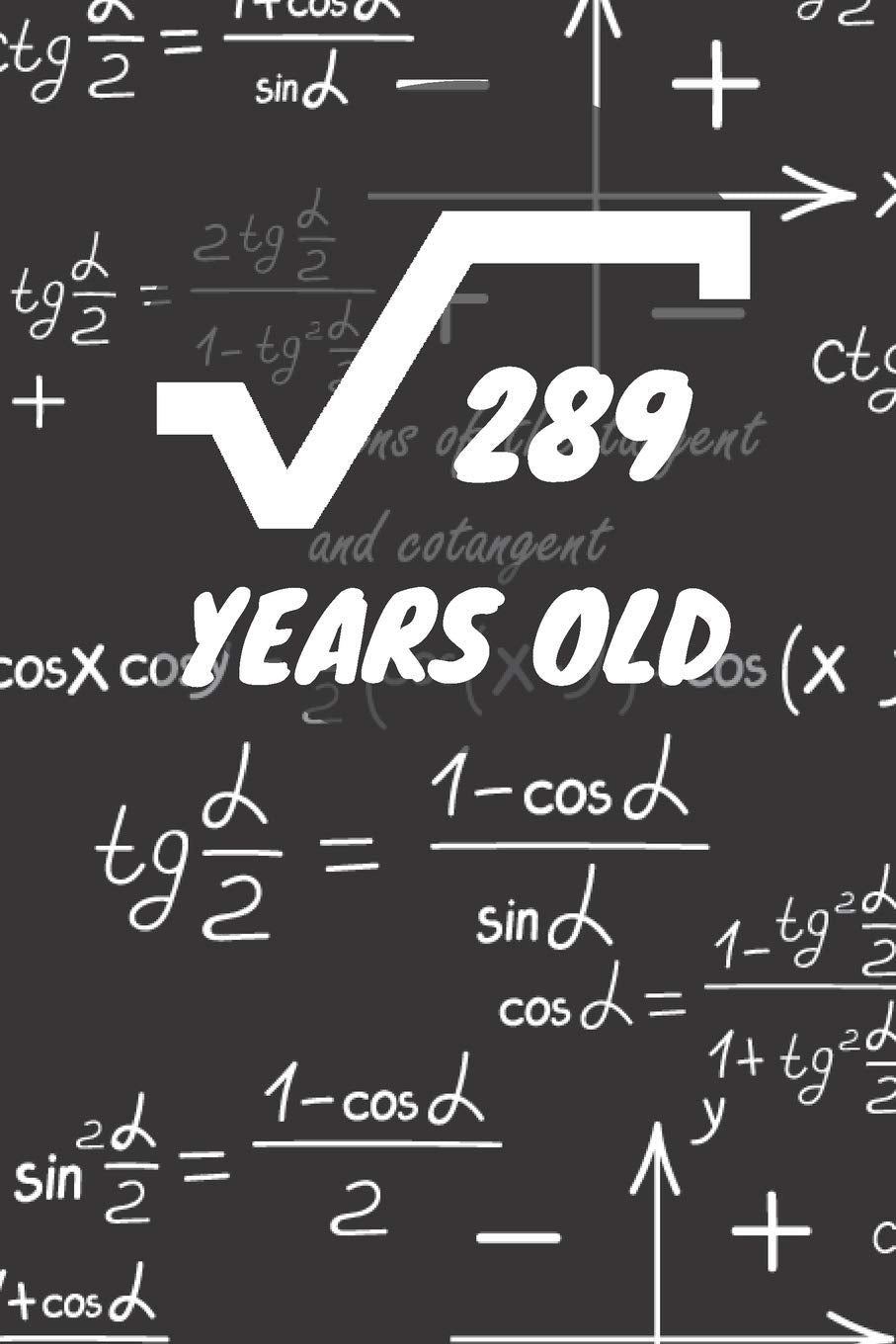 289 Years Old: 17. Birthday Ruled Math Diary Notebook or Mathematics and Physics Guest Nerd Geek Book Journal - Lined Register Pocketbook for Nerds, ... book for Boys and Girls Birthdays and Partys Books