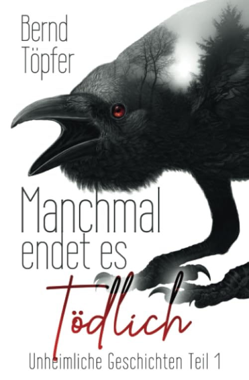 Manchmal endet es tödlich: Unheimliche Geschichten Teil 1 Horror & Mystery