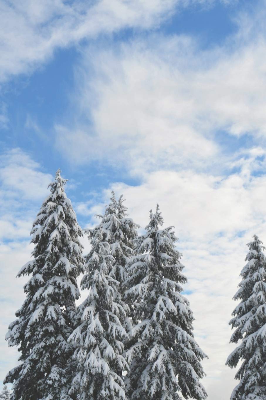 Journal: 150 Lined & Dated Pages, 6x9 Inches, Winter Wonderland, Snow, Trees, Diary & Notebook for Writing, Brainstorming, Note-Taking, Relieving Stress & More Essays & Short Stories