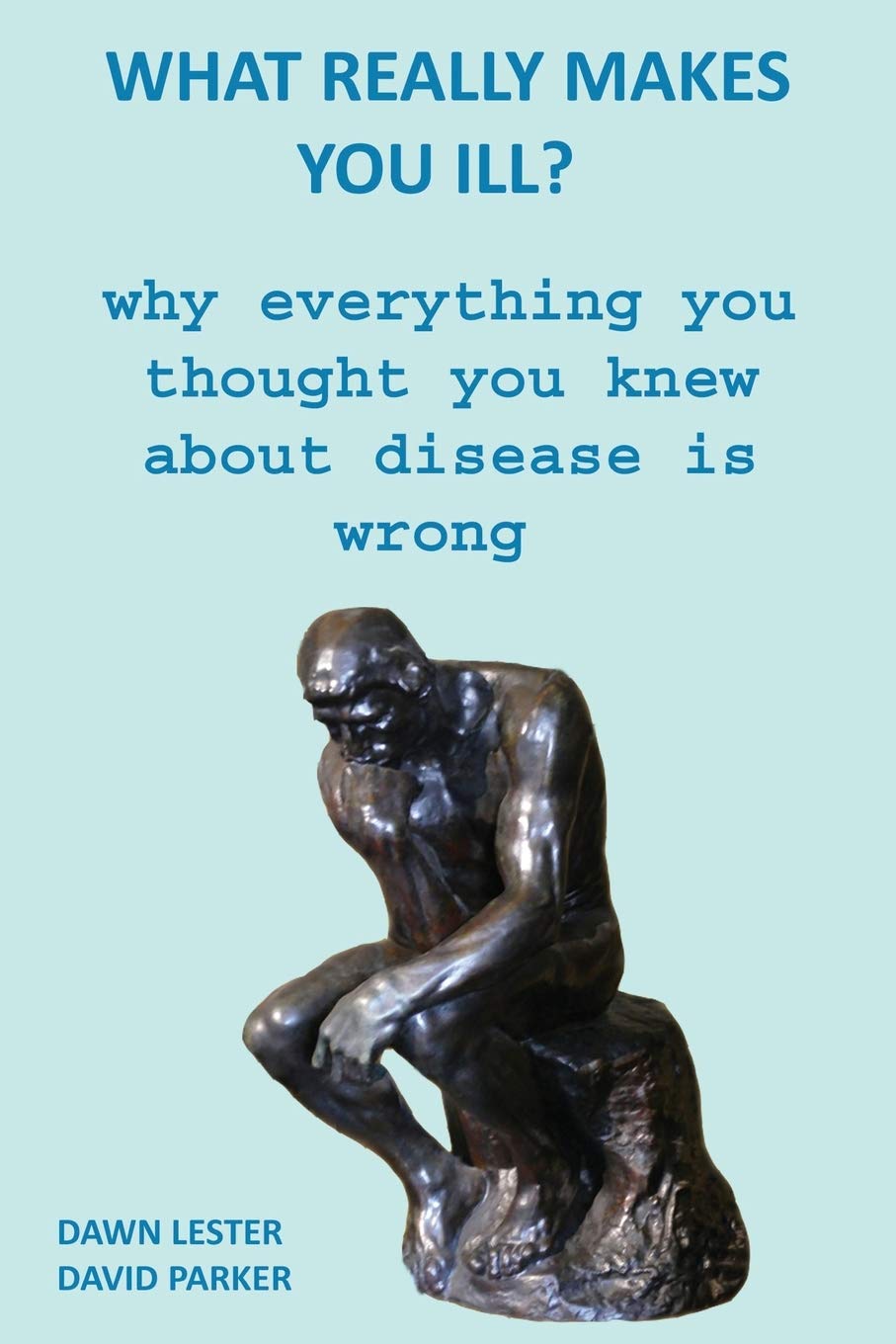 What Really Makes You Ill?: Why Everything You Thought You Knew About Disease Is Wrong Mathematics