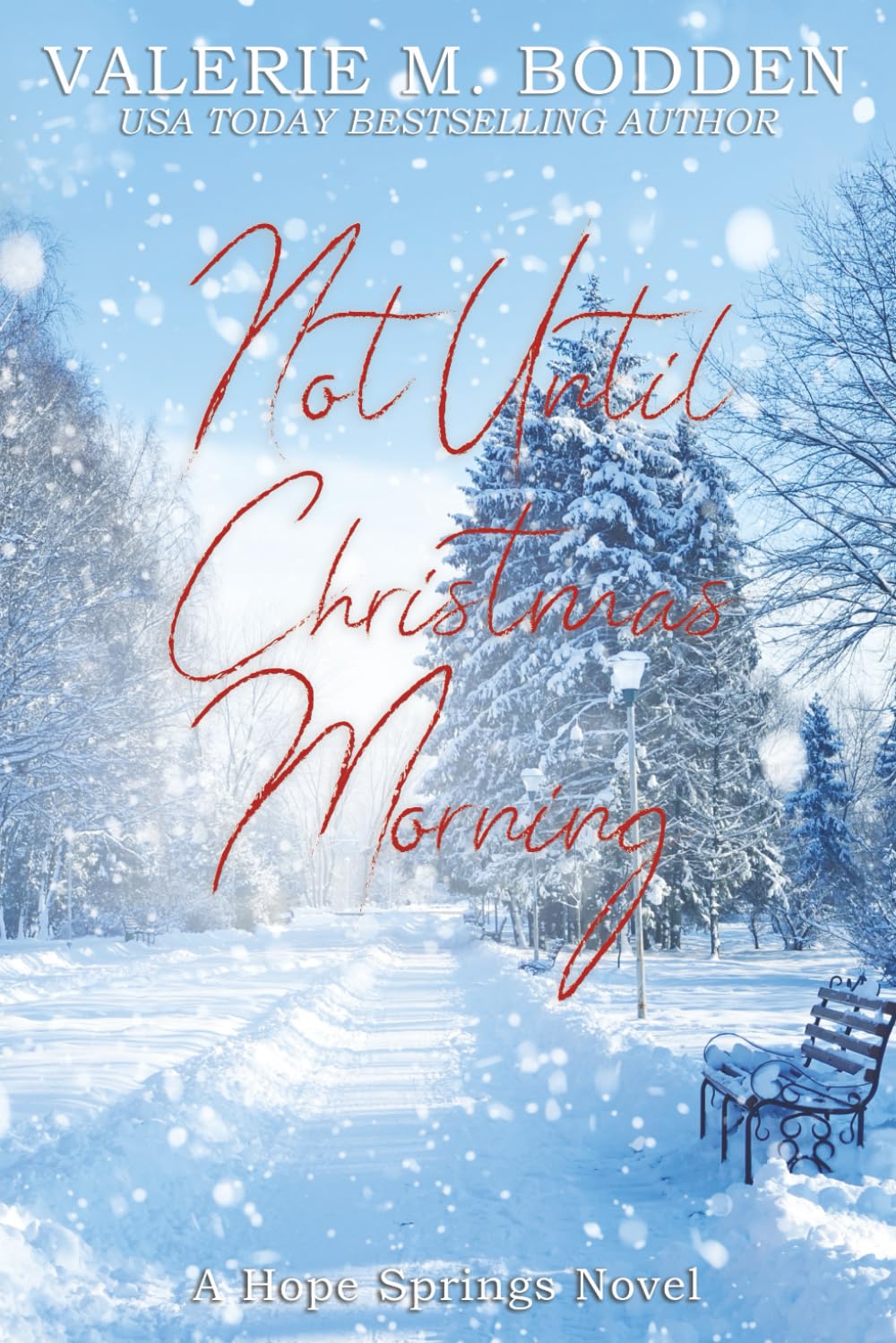 Not Until Christmas Morning: A Christian Romance (Hope Springs, Band 5) Religion & Esotericism
