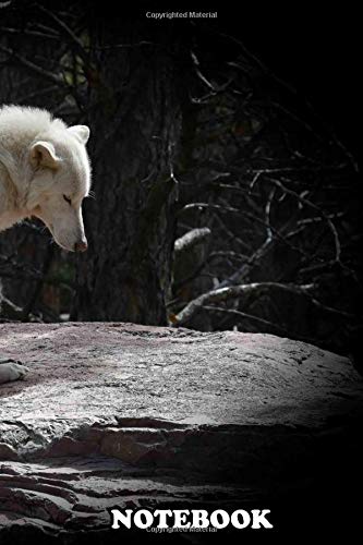 Notebook: Captured In Yellowstone National Park , Journal for Writing, College Ruled Size 6" x 9", 110 Pages Books