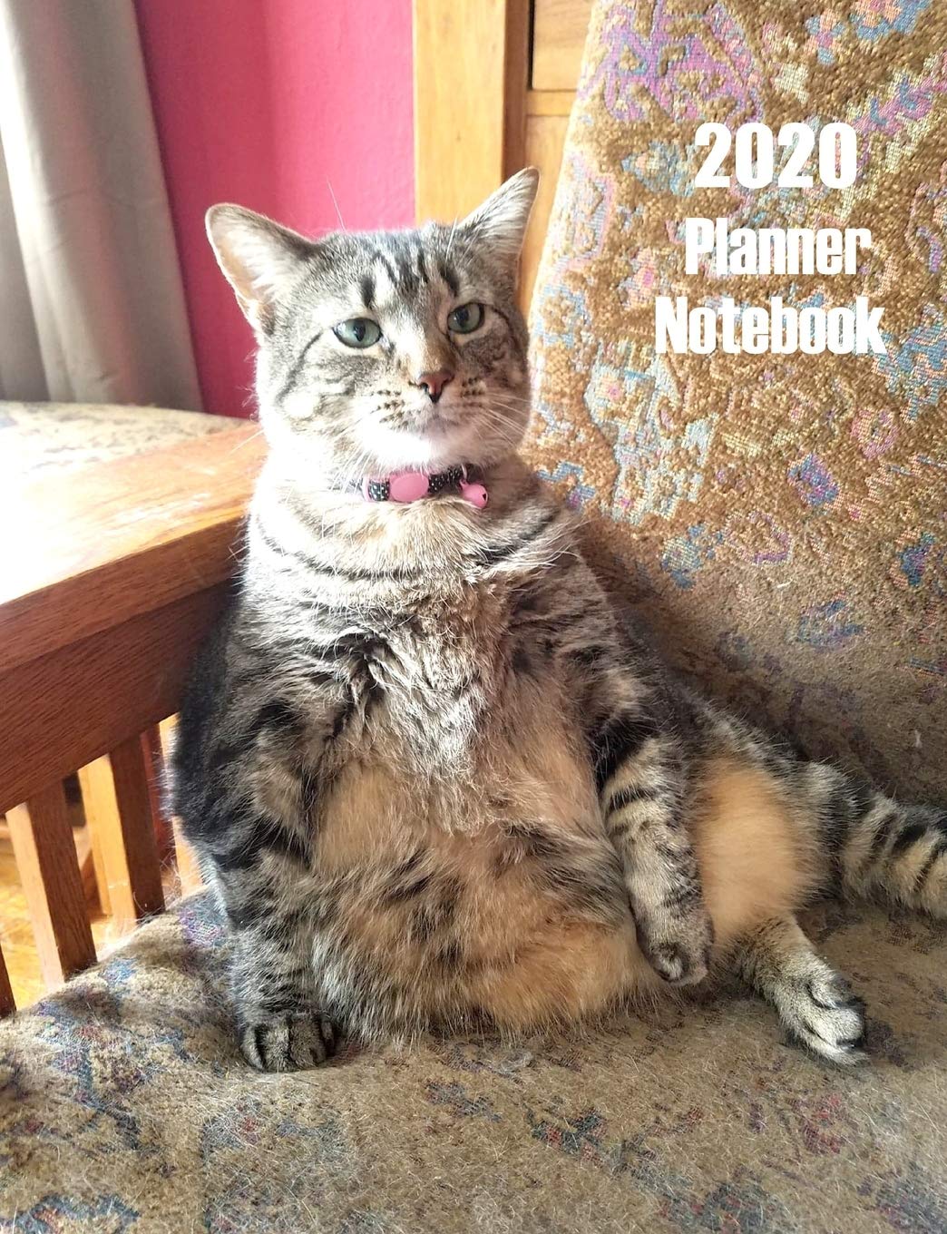 2020 Planner Notebook: Funny Cat Planner Book With Monthly and Weekly Calendars, Monthly Habit Tracker, Vision Board and Brain Dump Sheets Home & Household