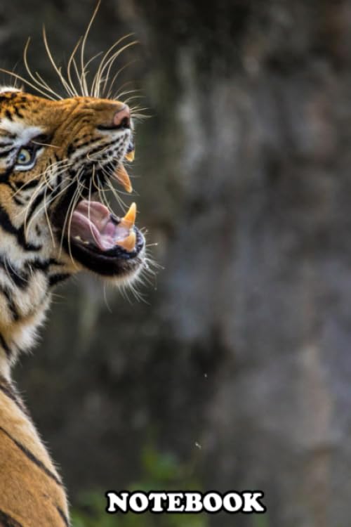 Notebook: Tiger , Journal for Writing, College Ruled Size 6" x 9", 110 Pages Books