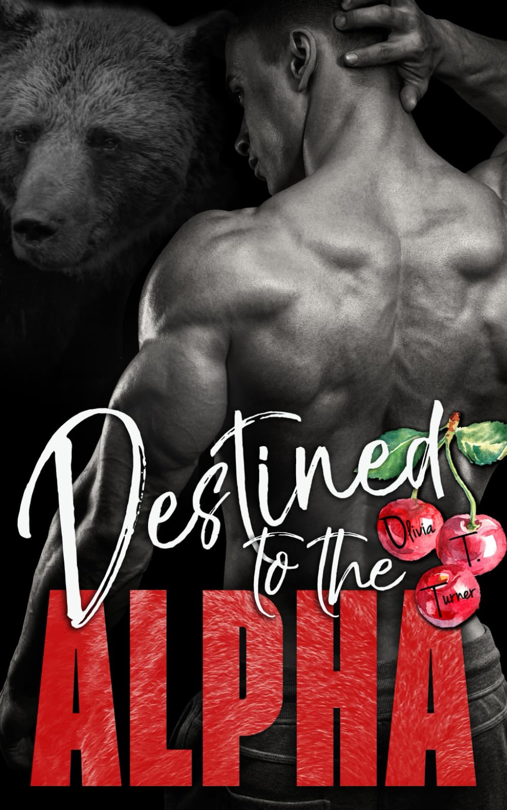 Destined to the Alpha (Alphas in Heat, Band 3) Contemporary literature