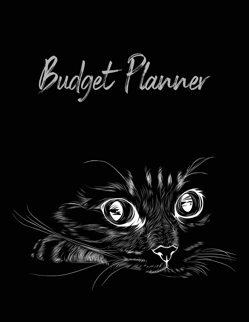Budget Planner: Expense Finance Budget By A Year Monthly Weekly & Daily Bill Budgeting Planner And Organizer Tracker Workbook Journal (Business Money Notebook Planning Worksheets) Business, Finance & Career