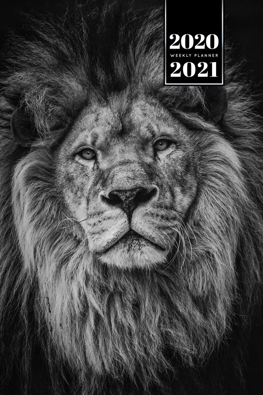 Lion Week Planner Weekly Organizer Calendar 2020 / 2021 - Black and White: Cute Wildlife Animal Pet Bullet Journal Notebook Diary in 6” x 9” Inch Pocket Size Mathematics