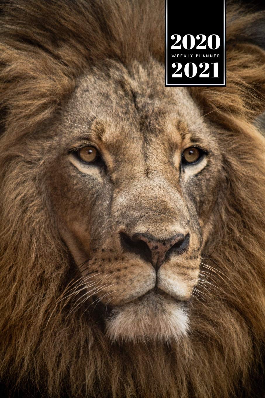Lion Week Planner Weekly Organizer Calendar 2020 / 2021 - Clear Eyes: Cute Wildlife Animal Pet Bullet Journal Notebook Diary in 6” x 9” Inch Pocket Size Mathematics