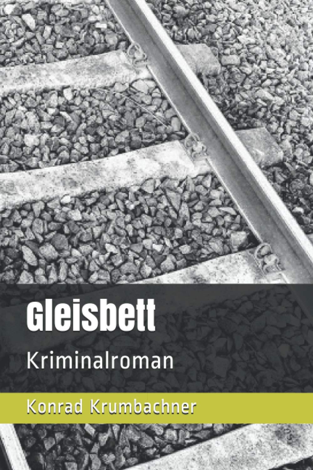 Gleisbett: Kriminalroman book