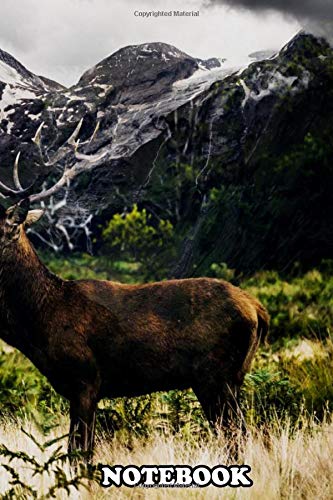 Notebook: Deer And Mountains , Journal for Writing, College Ruled Size 6" x 9", 110 Pages Books