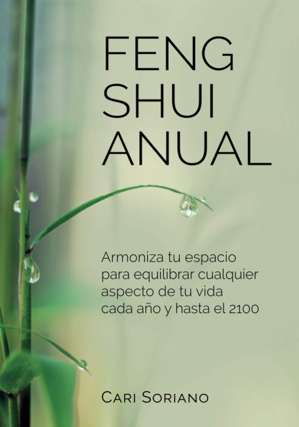 FENG SHUI ANUAL: Armoniza tu espacio para equilibrar cualquier aspecto de tu vida cada año y hasta el 2100 book