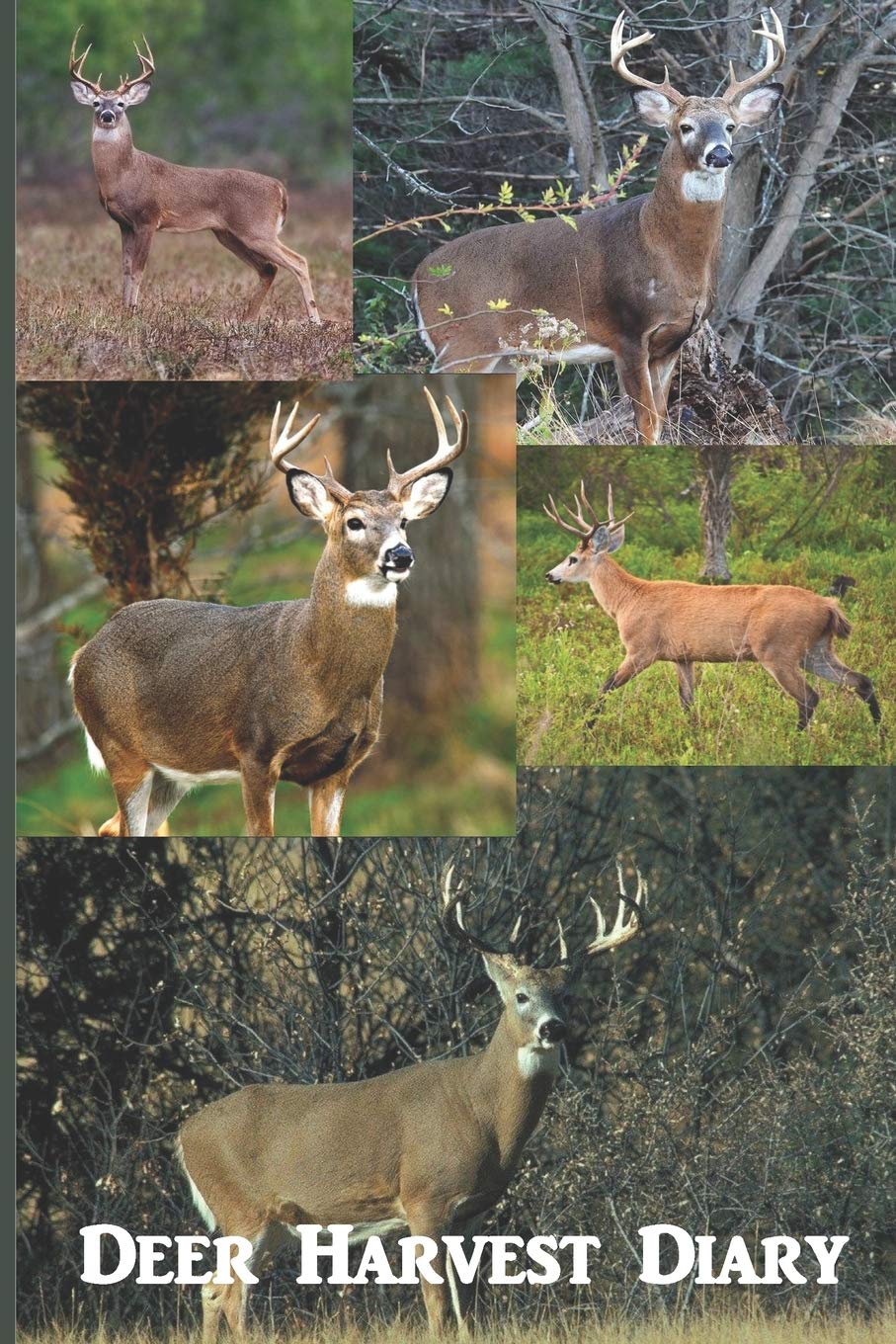 Deer Harvest Diary: Keep Track of Your Deer AND Tell Your Stories in this Handy Hunting Log Leisure & Fun