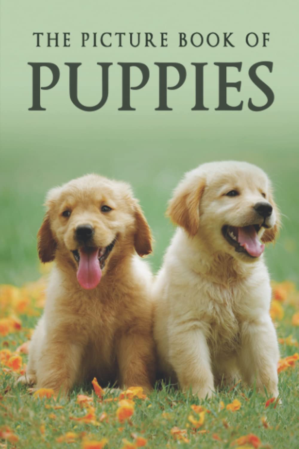 The Picture Book of Puppies: A Gift Book for Alzheimer's Patients and Seniors with Dementia (Picture Books - Animals, Band 31) Medicine