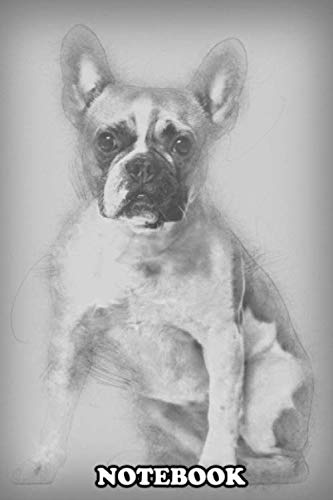 Notebook: French Bulldog 3 Years Old Sitting Against White Backg , Journal for Writing, College Ruled Size 6" x 9", 110 Pages Books