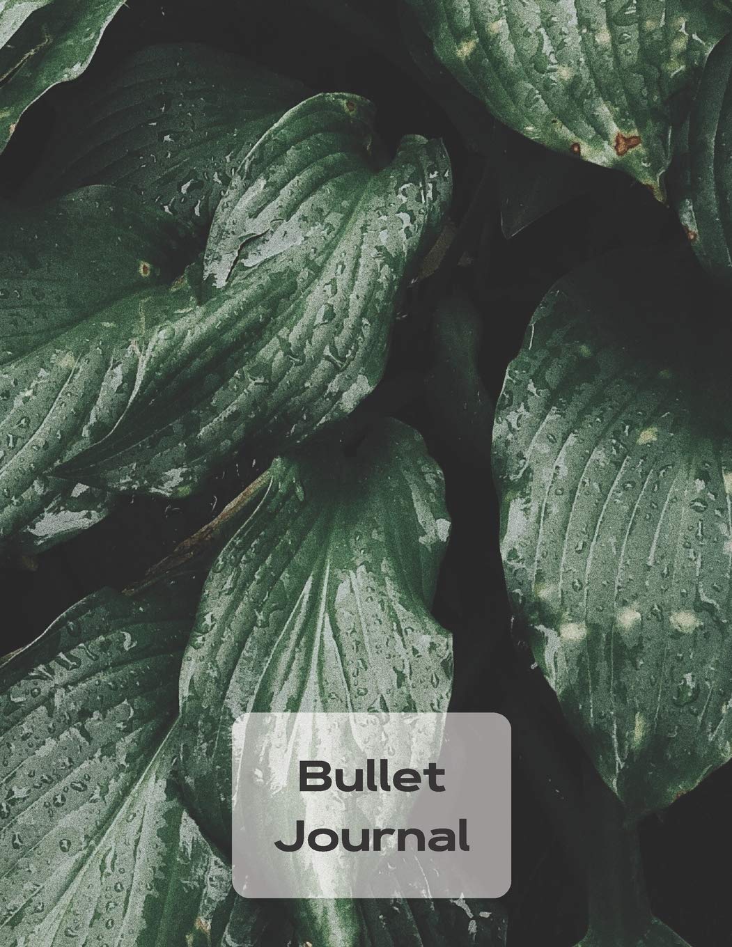Bullet Journal: Dot Journaling 110 pages | Size A4 | notebook 8.5" x 11" Dotted paper Essays & Short Stories