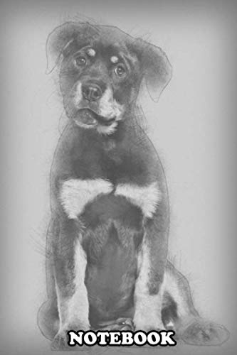 Notebook: Rottweiler Puppy 3 Months Old Sitting Against White Bac , Journal for Writing, College Ruled Size 6" x 9", 110 Pages Books