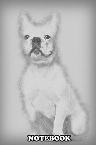 Notebook: French Bulldog 7 Months Old Sitting Against White Backg , Journal for Writing, College Ruled Size 6" x 9", 110 Pages book