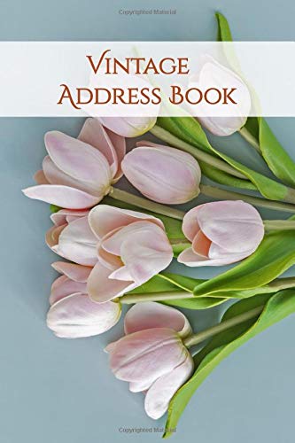 Vintage Address Book (Address Books, Band 18) Reference Books