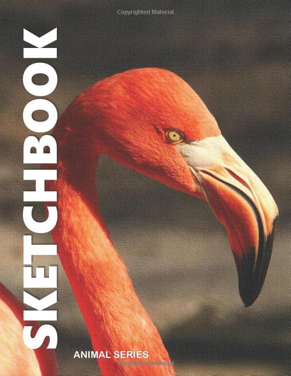 SKETCH BOOK: 8.5 in. x 11 in. 109 pages, Professional,Artist, Student, Kids Drawing, Sketching, Doodling, Writing Pad & Free 7 pages (7 Days Gratitude Guide) Hobbies & Crafts