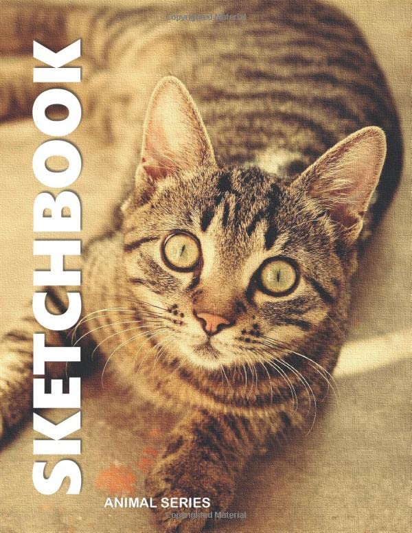 SKETCH BOOK: 8.5 in. x 11 in. 109 pages, Professional,Artist, Student, Kids Drawing, Sketching, Doodling, Writing Pad & Free 7 pages (7 Days Gratitude Guide) Hobbies & Crafts