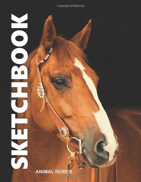 SKETCH BOOK: 8.5 in. x 11 in. 109 pages, Professional,Artist, Student, Kids Drawing, Sketching, Doodling, Writing Pad & Free 7 pages (7 Days Gratitude Guide) Hobbies & Crafts