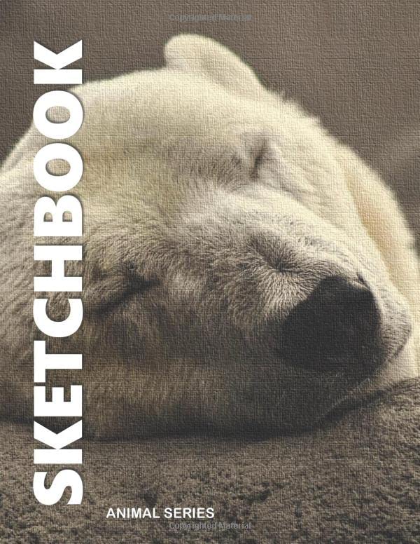 SKETCH BOOK: 8.5 in. x 11 in. 109 pages, Professional,Artist, Student, Kids Drawing, Sketching, Doodling, Writing Pad & Free 7 pages (7 Days Gratitude Guide) Hobbies & Crafts