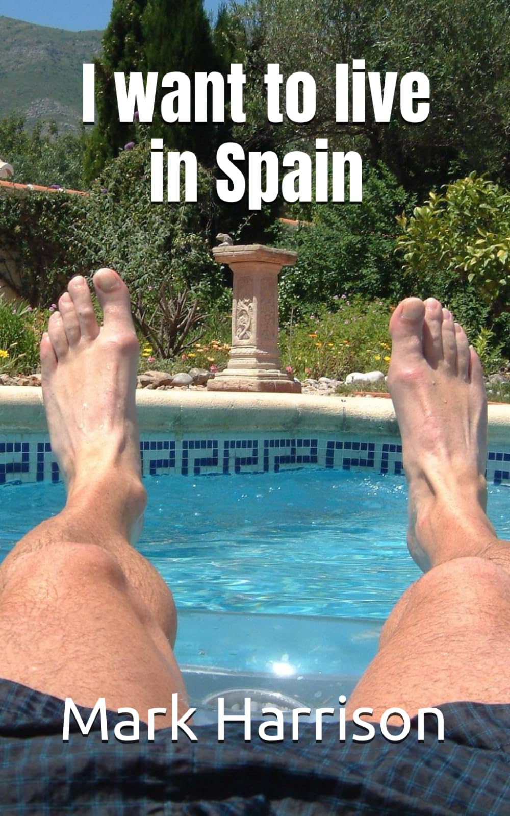 I want to live in Spain (Adventures from a new life in Spain, Band 1) Mathematics