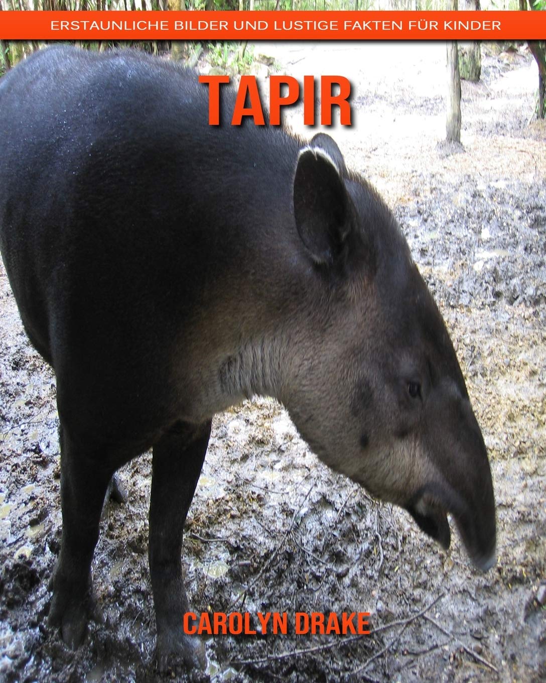 Tapir: Erstaunliche Bilder und lustige Fakten für Kinder book