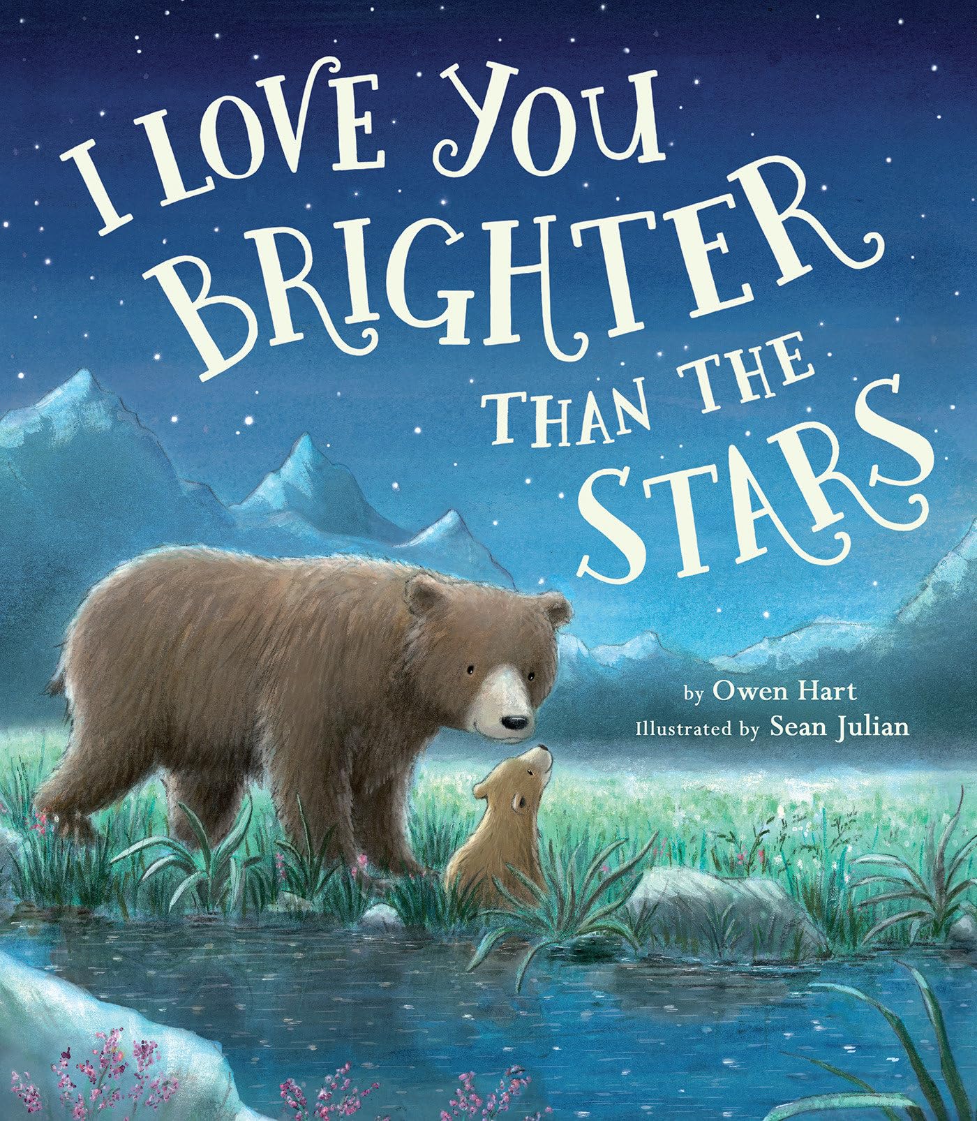 I Love You Brighter than the Stars book