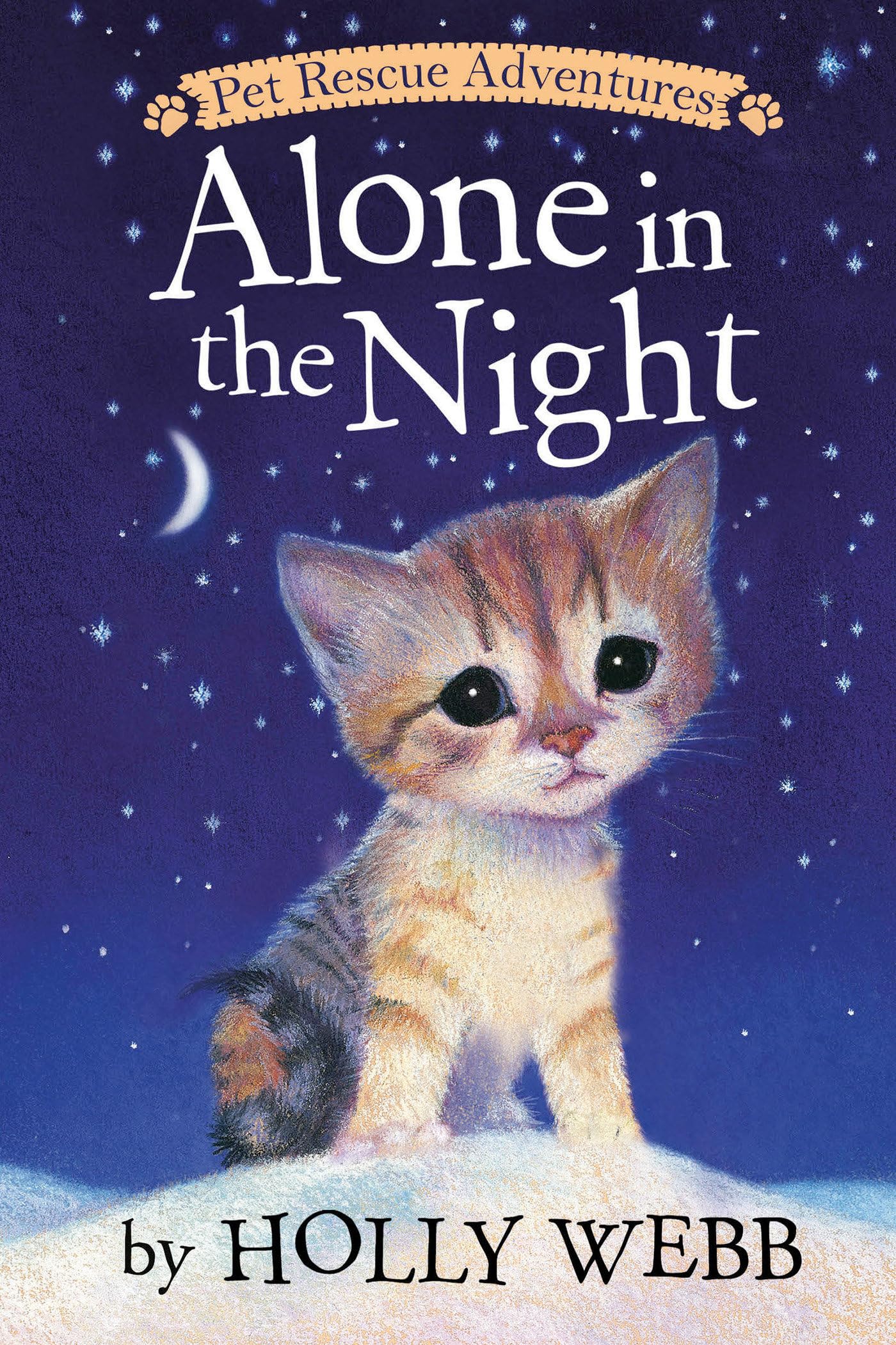 Alone in the Night Novels & Short Stories for children
