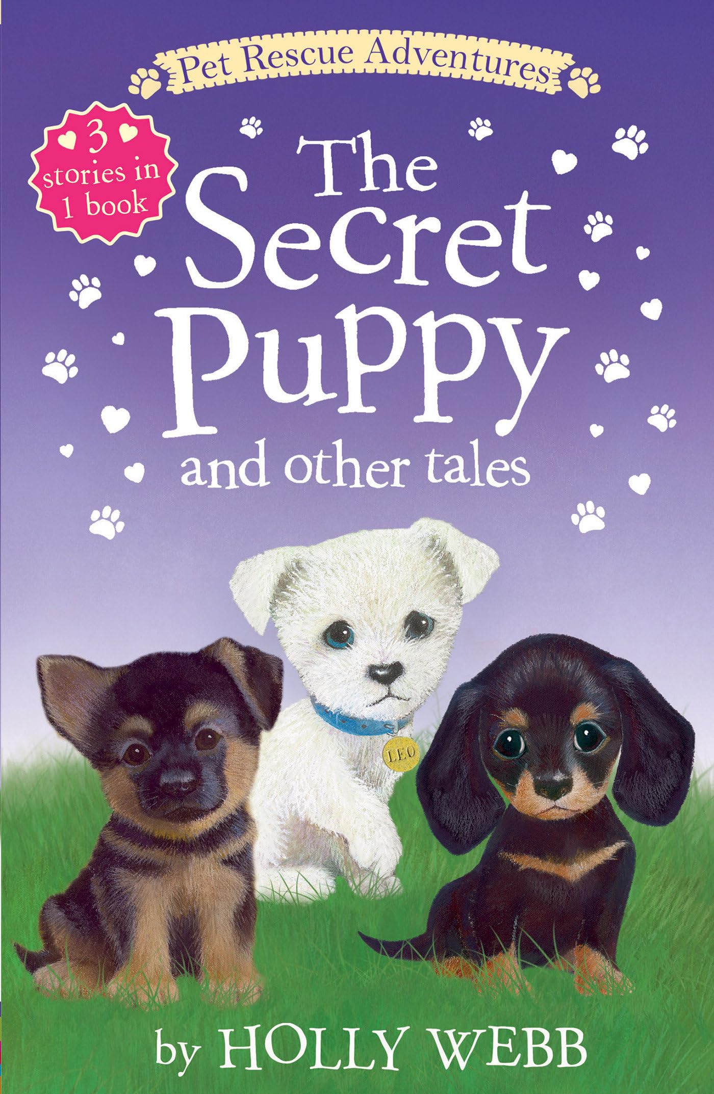 The Secret Puppy and Other Tales: The Lost Puppy; The Secret Puppy; Leo All Alone (Pet Rescue Adventures) Parents & Children