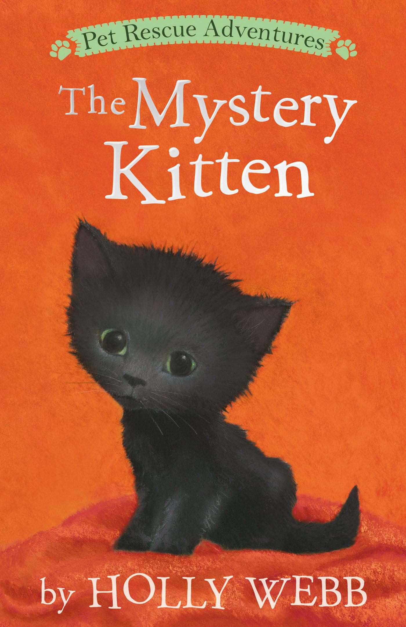 The Mystery Kitten (Pet Rescue Adventures) Novels & Short Stories