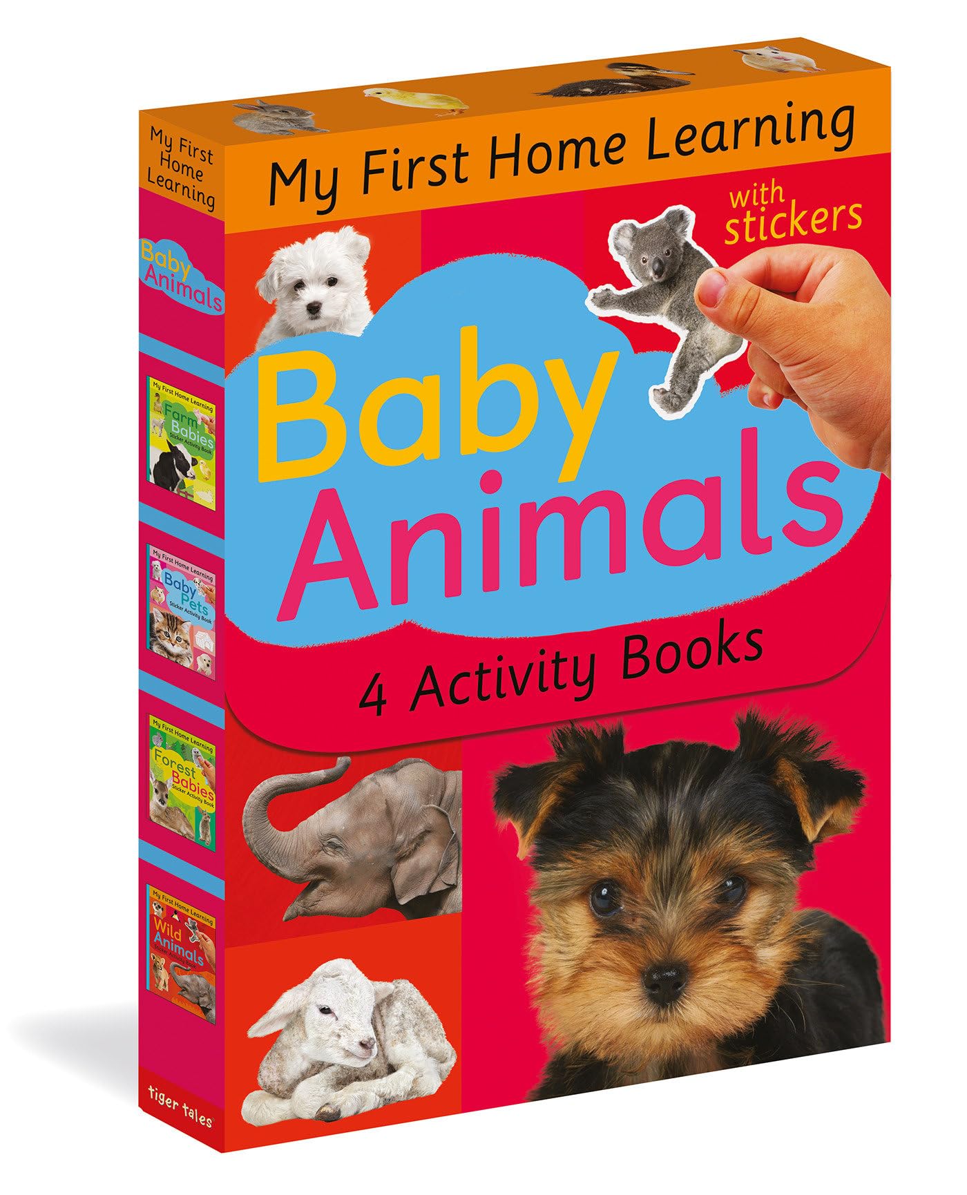 Baby Animals: 4 Activity Book Boxed Set with Stickers: Baby Pets; Farm Babies; Forest Babies; Wild Animals (My First Home Learning) Parents & Children