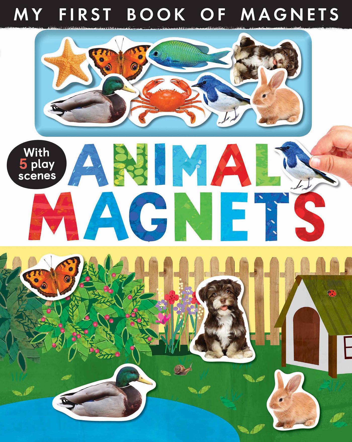 Animal Magnets: with 5 Play Scenes (My First) Non-fiction