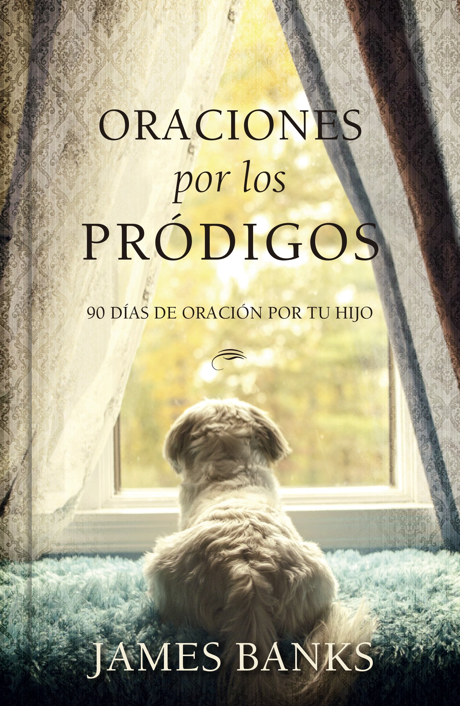 Oraciones por los pródigos / Prayers for Prodigals: 90 días de oración por tu hijo / 90 Days of Prayer for Your Child book
